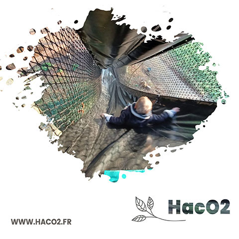 Visuel 2
